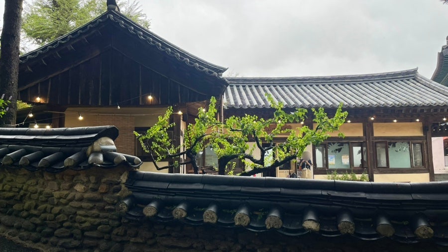 산중다원 사진 2