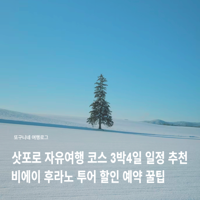  삿포로 자유여행 코스 3박4일 일정 추천, 비에이 후라노 투어 할인 예약 꿀팁