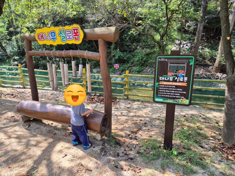 대구 수성구 대흥동 유아숲체험원 — 아이들과 함께 자연 속 나들이