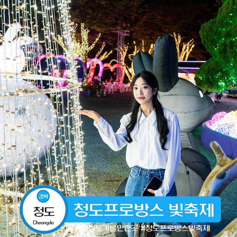 경북 청도 아이와 가볼만한곳 애견동반 가능한 청도프로방스 빛축제 입장료