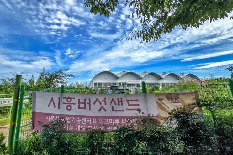  서울근교 나들이 아이와 가볼만한곳 시흥 버섯 체험농장 후기 |표고마루 버섯랜드