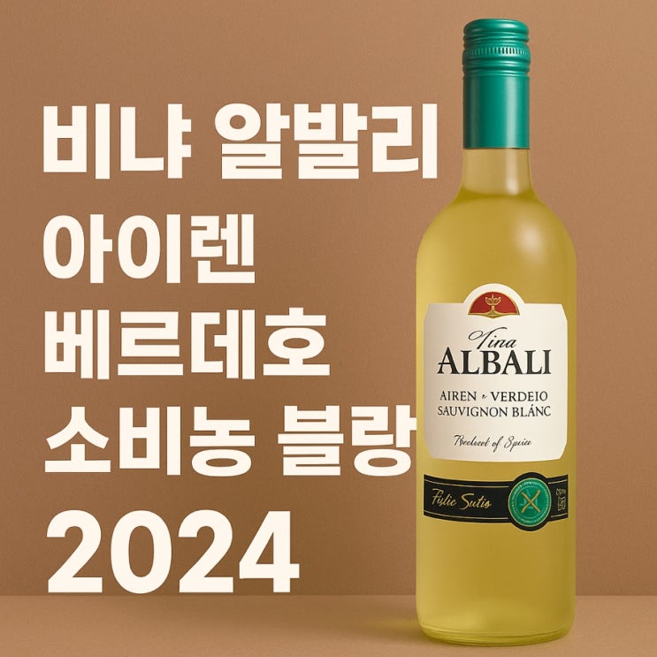  비냐 알발리 아이렌 베르데호 소비뇽 블랑 2024 후기  스페인 감성 가득한 상큼한 화이트와인 리뷰