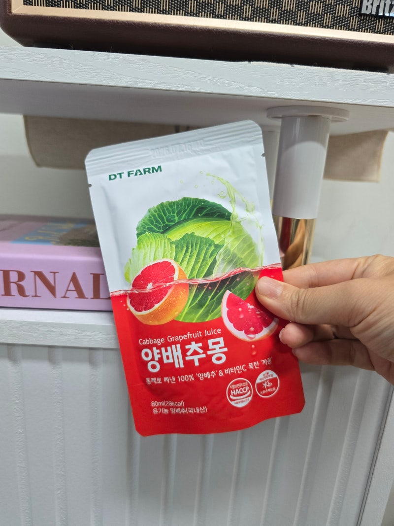 양배추 사과즙 효능 건강한 아침을 위한 선택