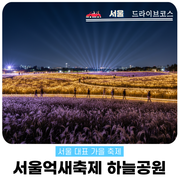  서울억새축제 2025 하늘공원 미디어아트 관람팁 총정리