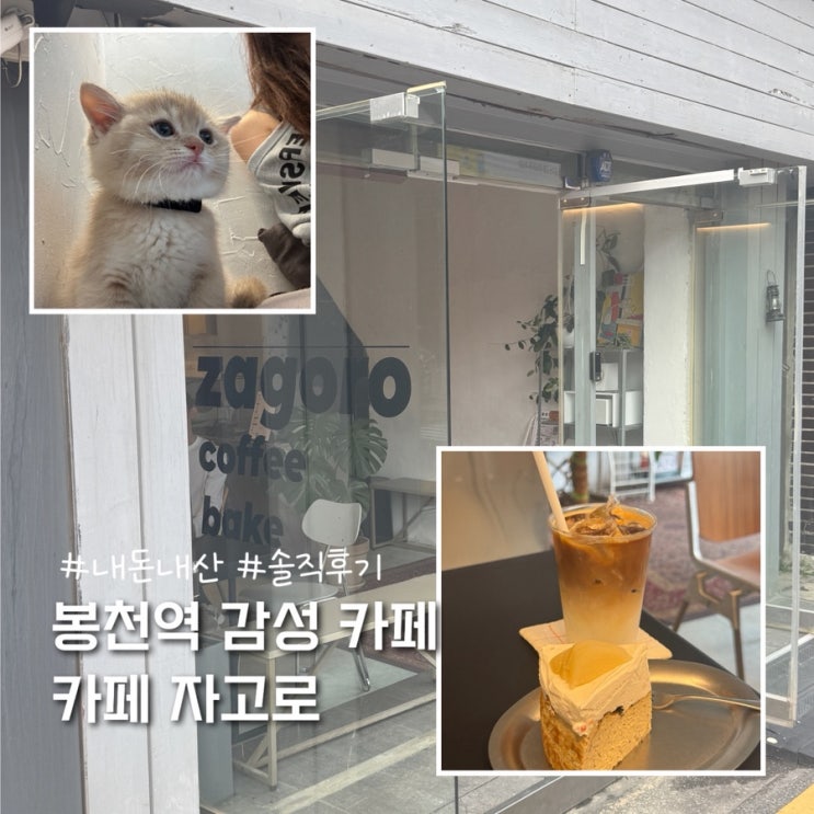  봉천역 서울대 분위기 좋은 카페 카페 자고로 (반려동물동반 가능)