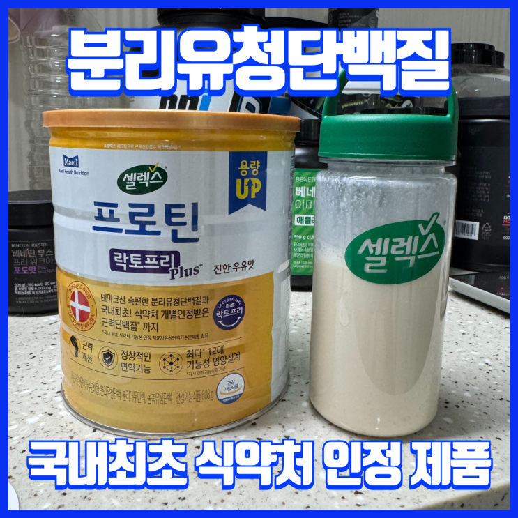  유당불내증도 섭취가능한 기능성 분리유청 단백질보충제 추천