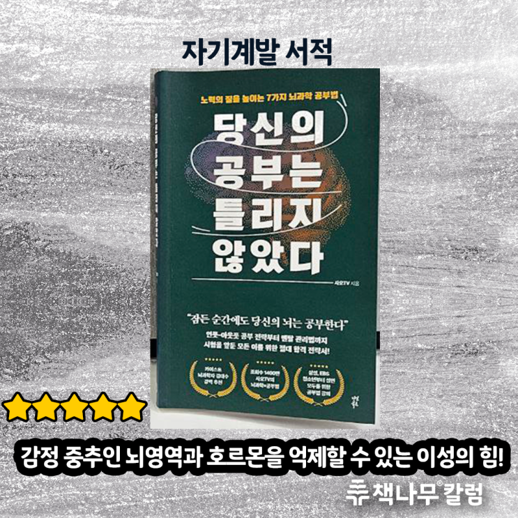  이미 당신의 공부 방법은 틀리지 않았다? 책이 있었습니다.