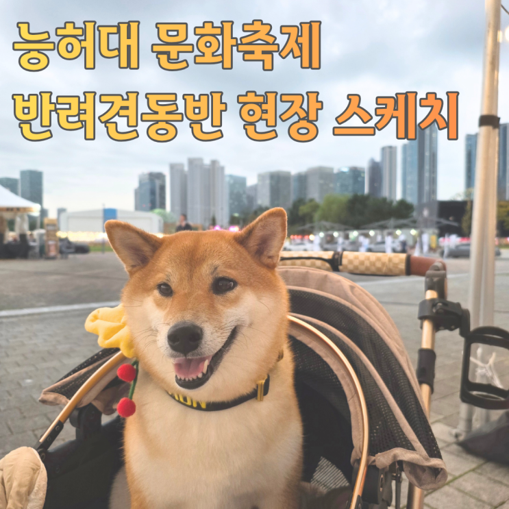  2025 능허대 문화축제 송도달빛축제공원 반려견동반 후기