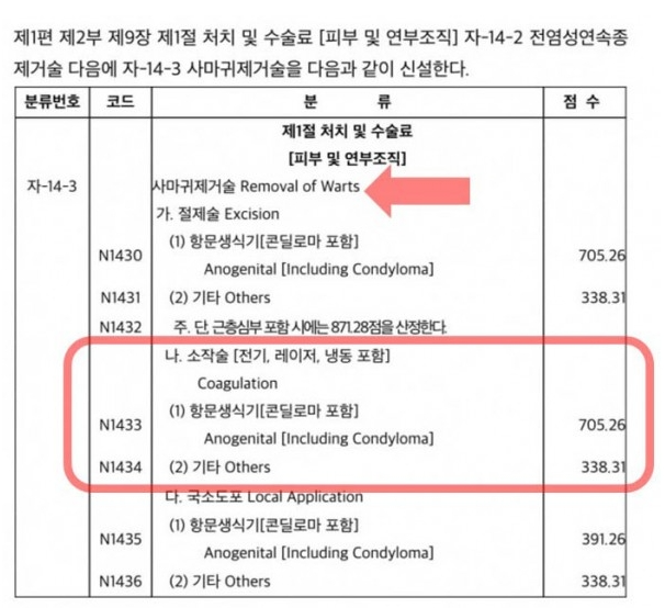 편평 사마귀 실비 청구하기