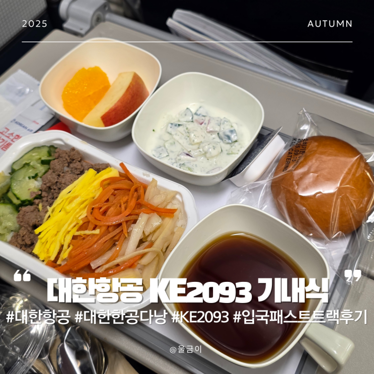  대한항공 부산김해-다낭 KE2093 A330-300 기내식 일반식 패스트트랙 후기