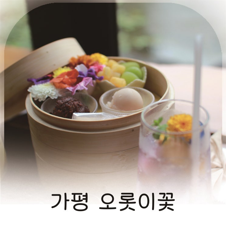 가평 카페추천 오롯이꽃카페, 연못 옆에서 즐기는 향긋한 꽃차의 여유