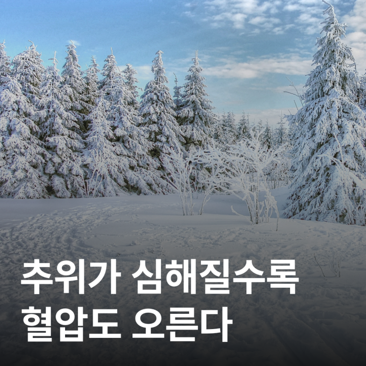  겨울철 혈압 스파이크, 이렇게 예방하세요