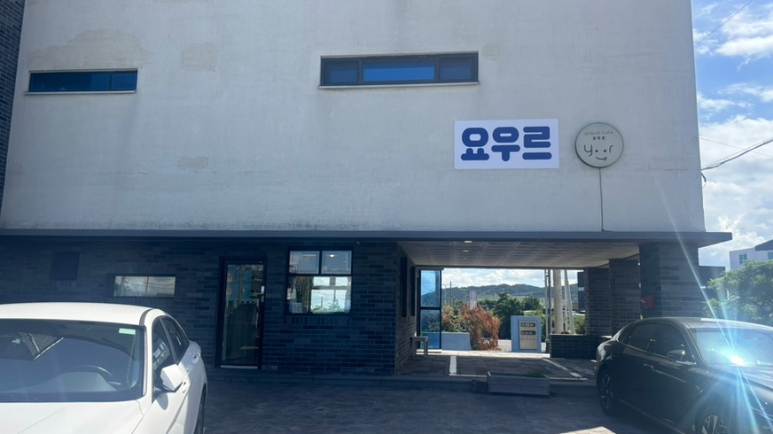 요우르 사진 2