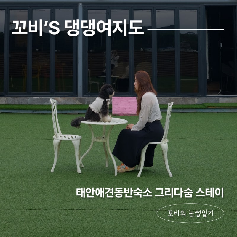 태안 애견동반숙소 그리다숨 스테이 후기 인조잔디 운동장 있는 독채 펜션