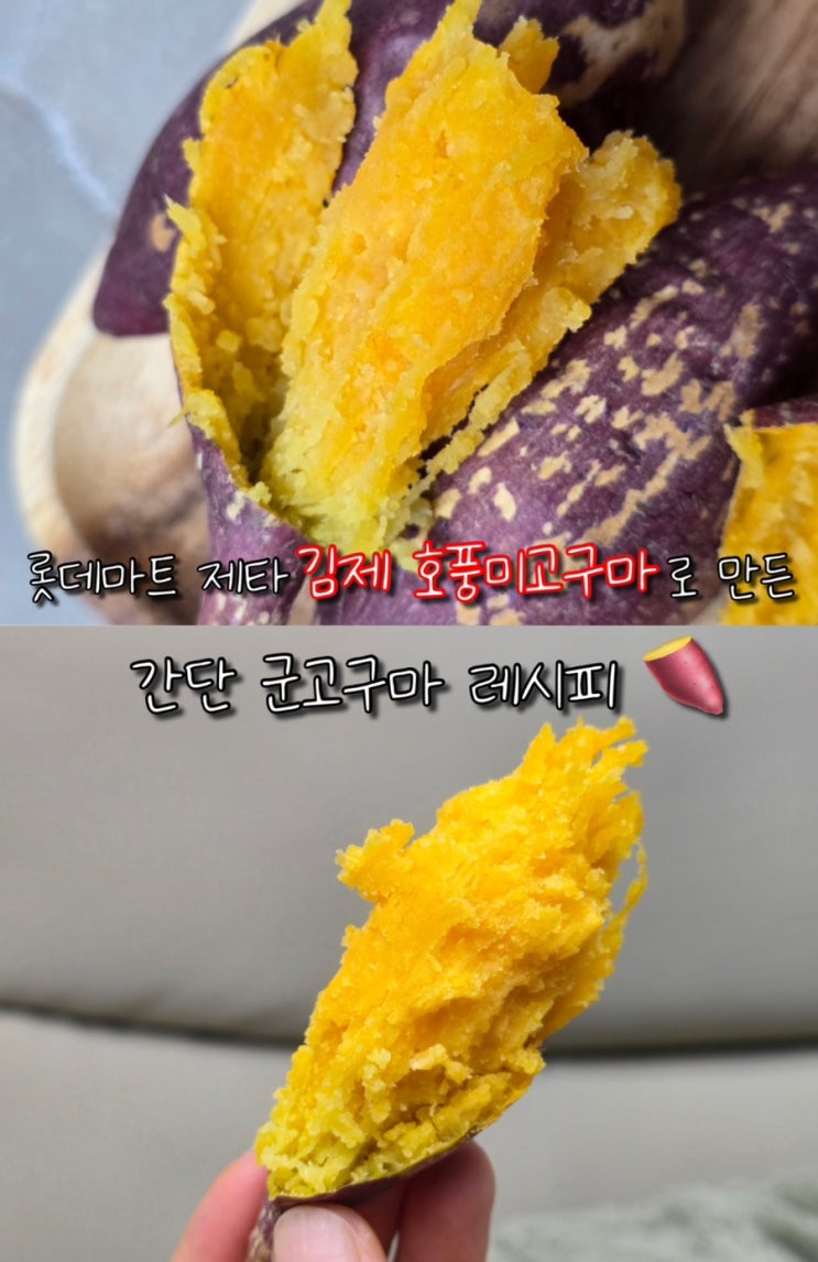  롯데마트 배송 어플 제타 할인 김제 호풍미고구마 군고구마 레시피