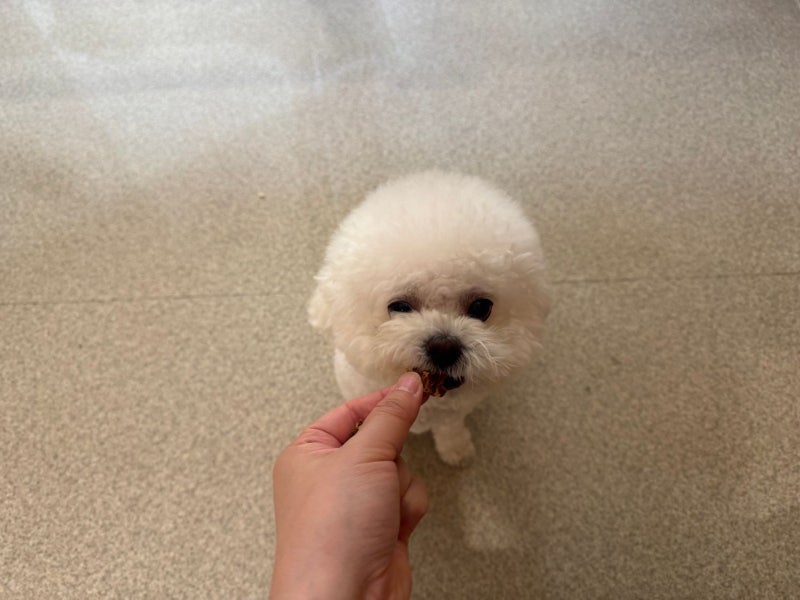 멍치원