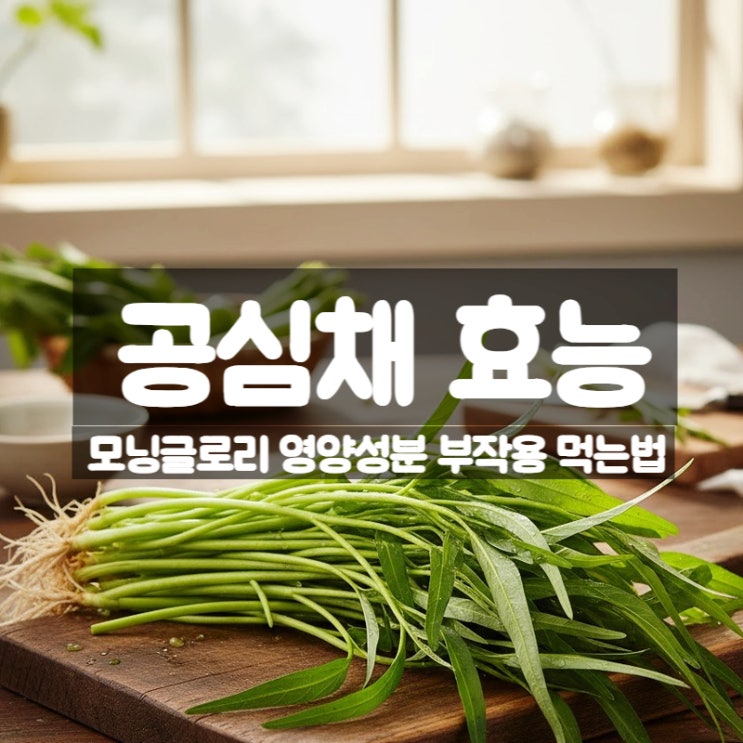  모닝글로리 공심채 효능 부작용 영양성분 나물 볶음 먹는법