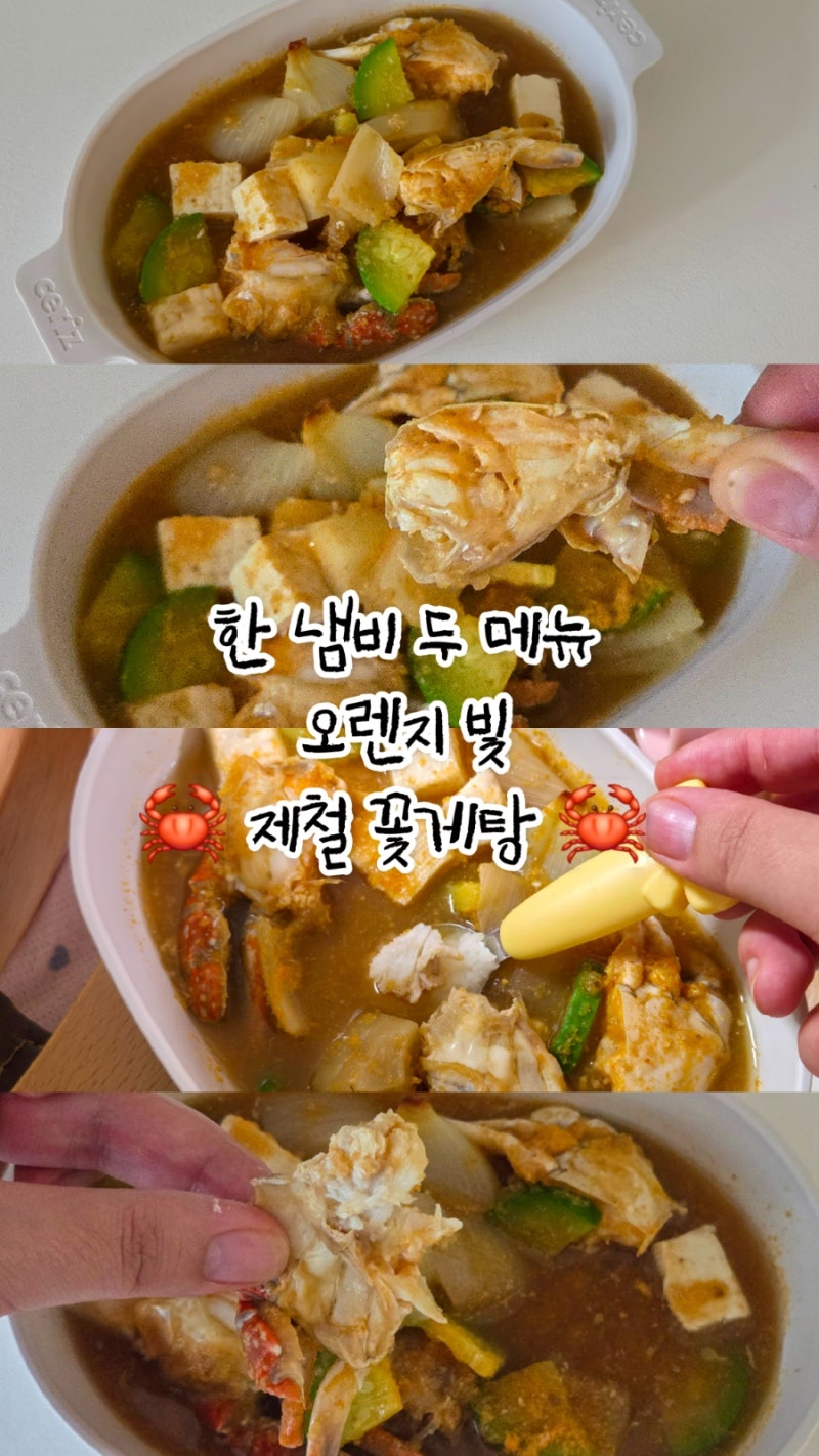 두돌아기유아식반찬 제철 꽃게탕, 어른 양념까지 두가지 레시피