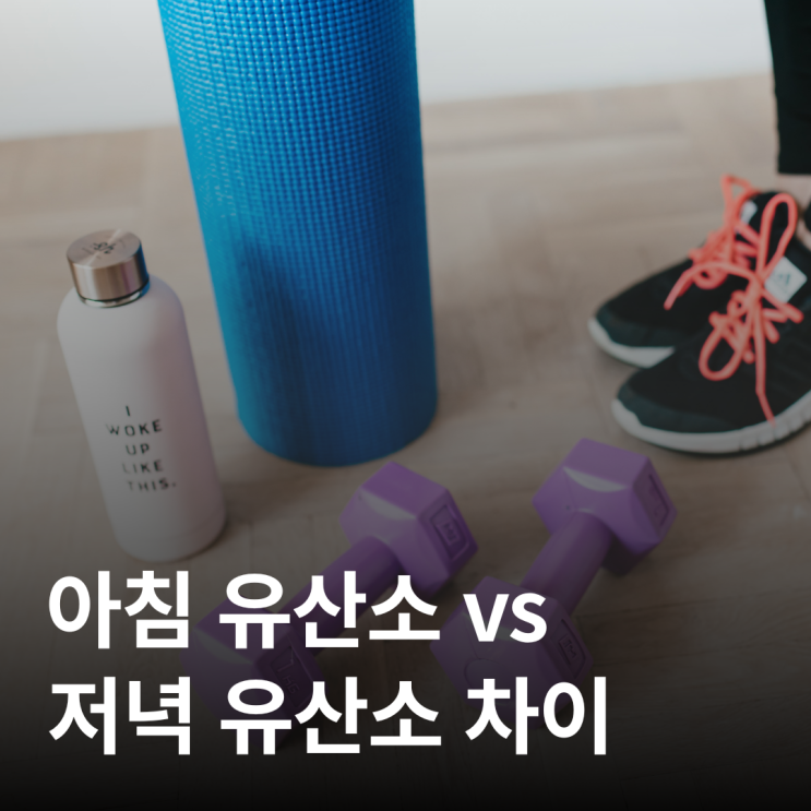  유산소 아침 vs 저녁 언제?— 지방 태우는 타이밍의 차이