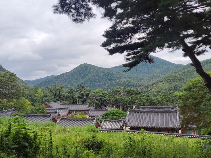  [경북 포항] 보경사 (2) - 겸제 정선이 보았던 내연산 12폭포