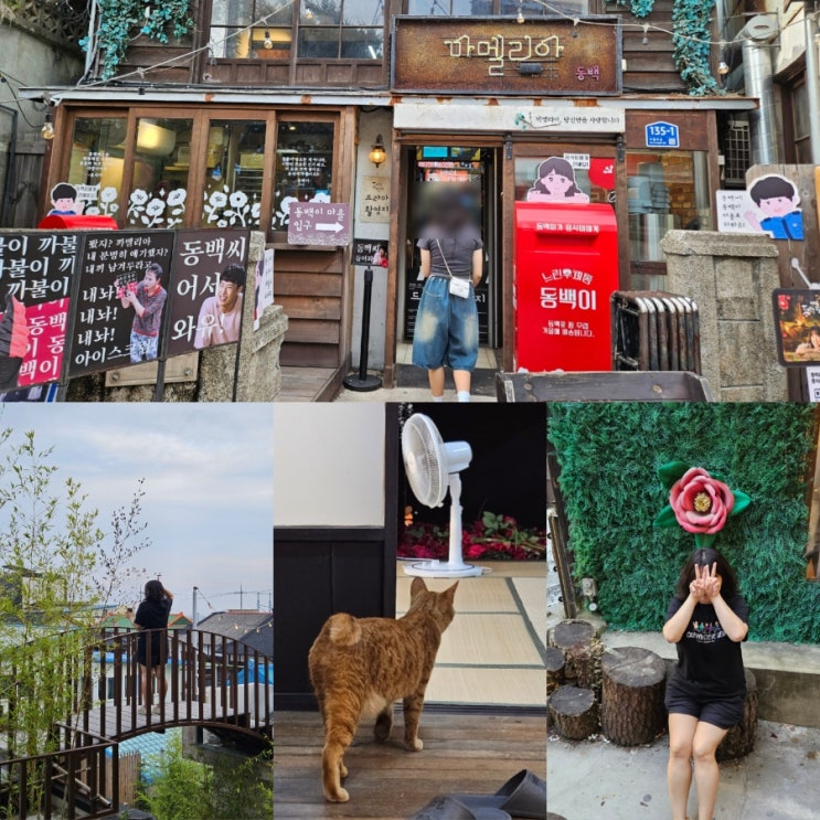  포항 구룡포 일본인가옥거리(근대문화역사거리) 동백꽃필무렵촬영지 까멜리아 카페