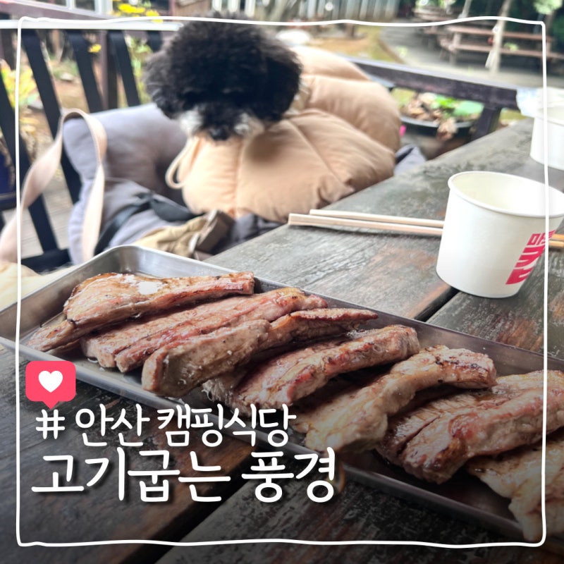 사진 9