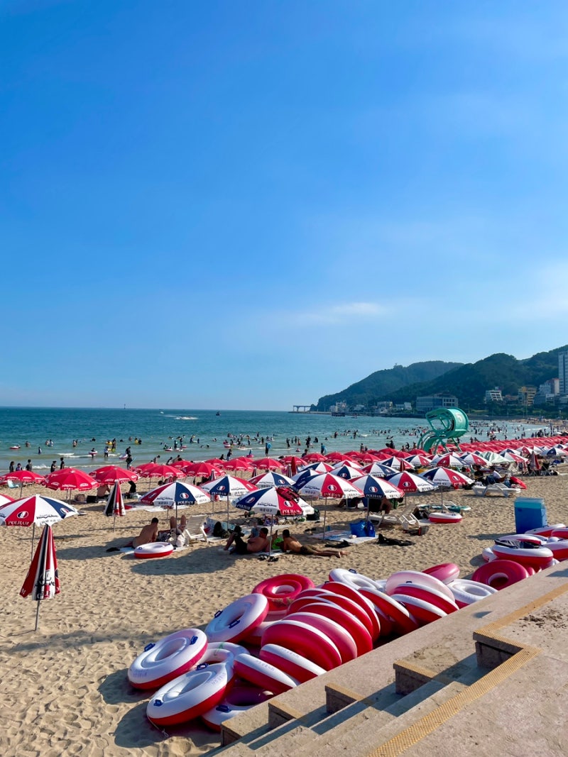 부산여행 송정해수욕장 개장 시간,세족장(발 씻는 곳) 샤워장 위치, 피서용품 대여 가격 | 광....