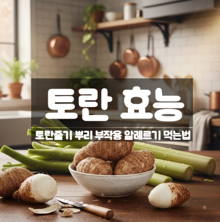  토란 효능 부작용 요리 먹는법 – 토란줄기 알레르기 주의
