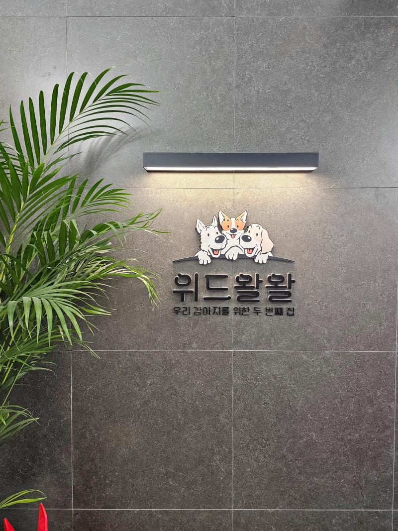 사진 2