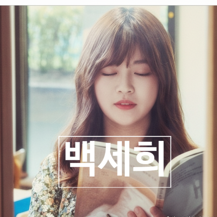  백세희 작가 사망 원인 충격! 뇌사 사인 전 남긴 눈물의 유언