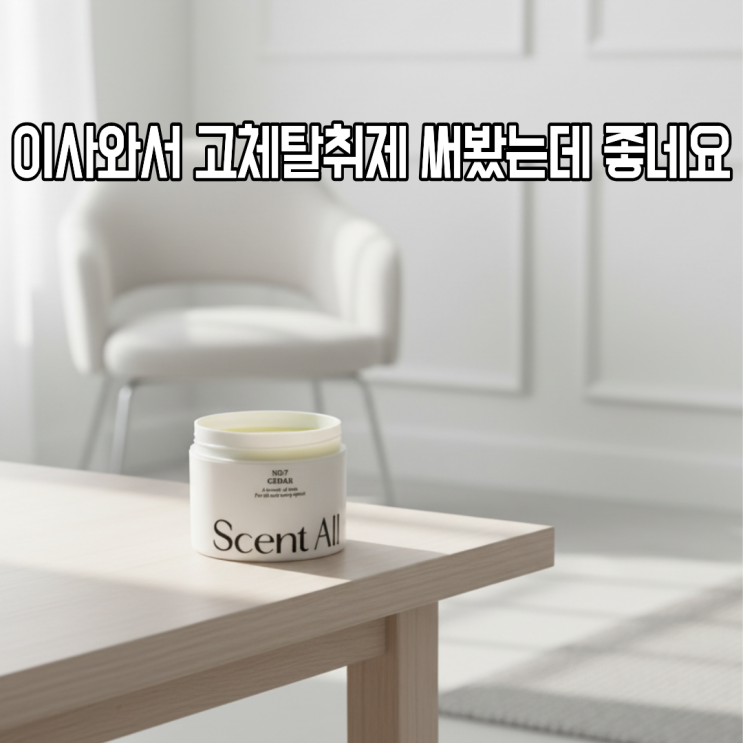  잔뜩 묵은 생활악취 홀애비 냄새도 잡아준다는 고체탈취제 써봤습니다(ft. 센트올)