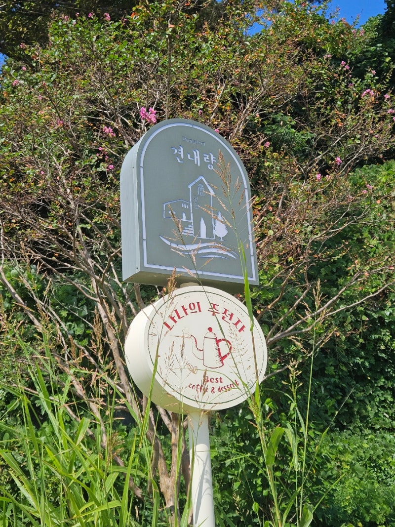 사진 4