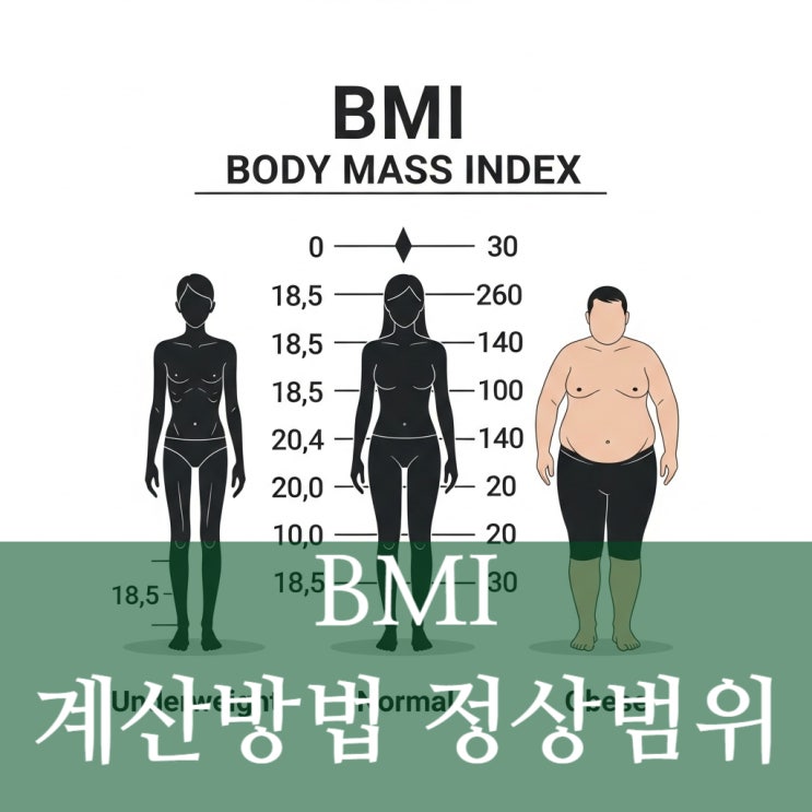  BMI 정상범위, 기준 건강지표 계산방법