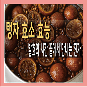 탱자 효소 효능 및 먹는법 총정리