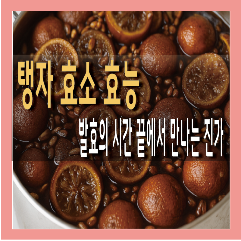 탱자 효소 효능 및 먹는법 총정리