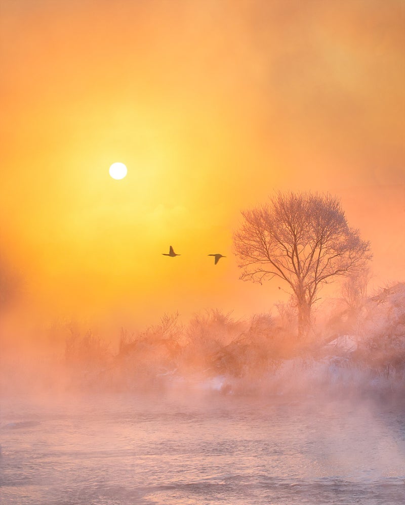 안개사진 찍는 법, 안개사진 촬영을 위한 카메라 설정 : 네이버 블로그, image size:800x999