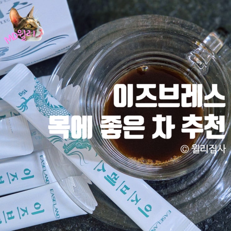  이즈브레스 기관지 목에 좋은 차 부모님 선물 마시는 건강관리