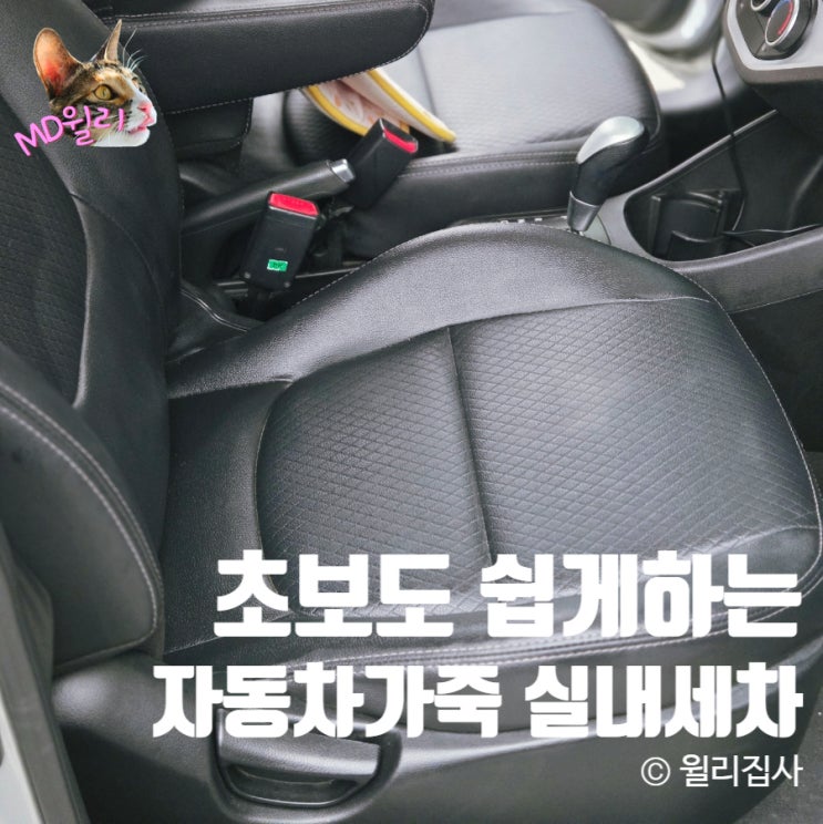  차량 가죽 클리너 초보운전도 쉽게 하는 실내 세차 카짐 레더포스