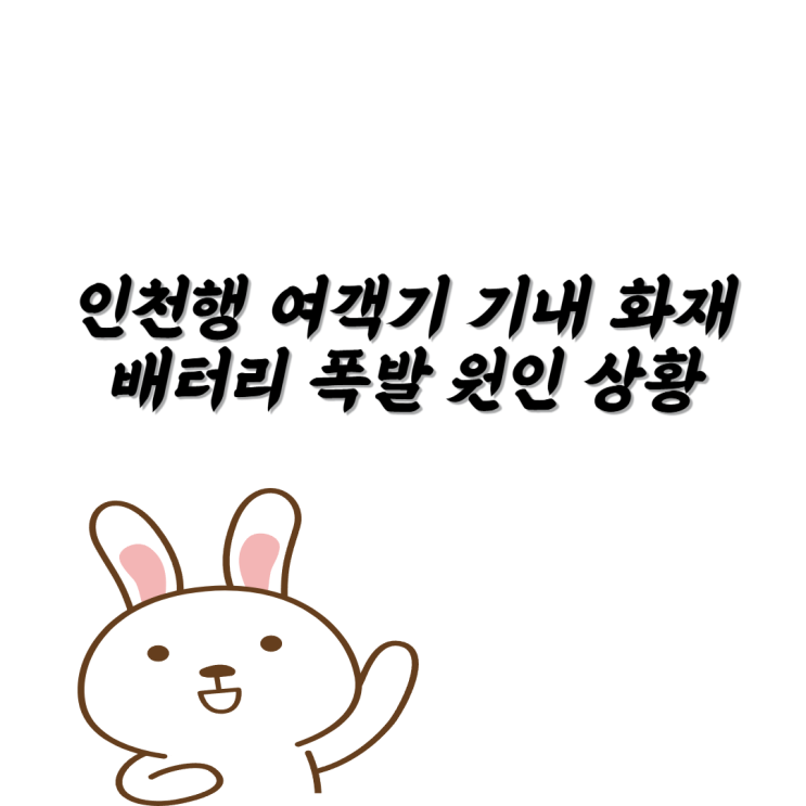 <b>인천행 여객기</b> 기내 화재 <b>배터리</b> 폭발 원인 상황