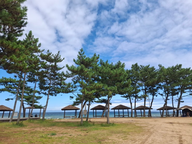  [경북 영덕] 장사 해수욕장과 강구항 - 7번 국도에서 만난 높은하늘과 맑은하늘