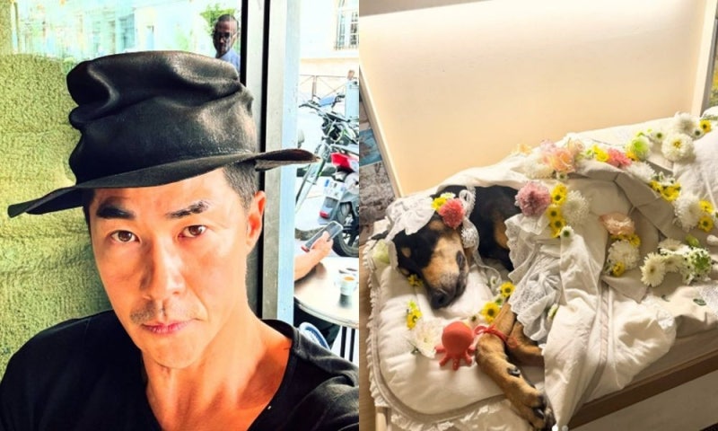 미우새·모델 겸 배우 배정남 반려견 강아지 벨 심장마비 죽음 이별에 오열?⭐️배정남 집 아....