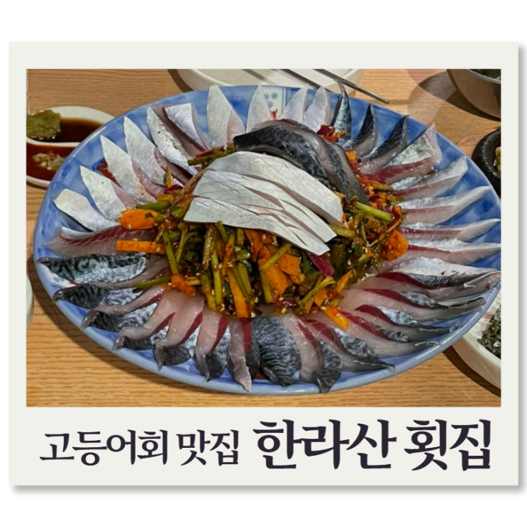  서울 가양역 맛집 | 신선하고 냄새 안 나는 고등어회 맛집 ‘한라산횟집’ 메뉴·맛있게 먹는 법·후기