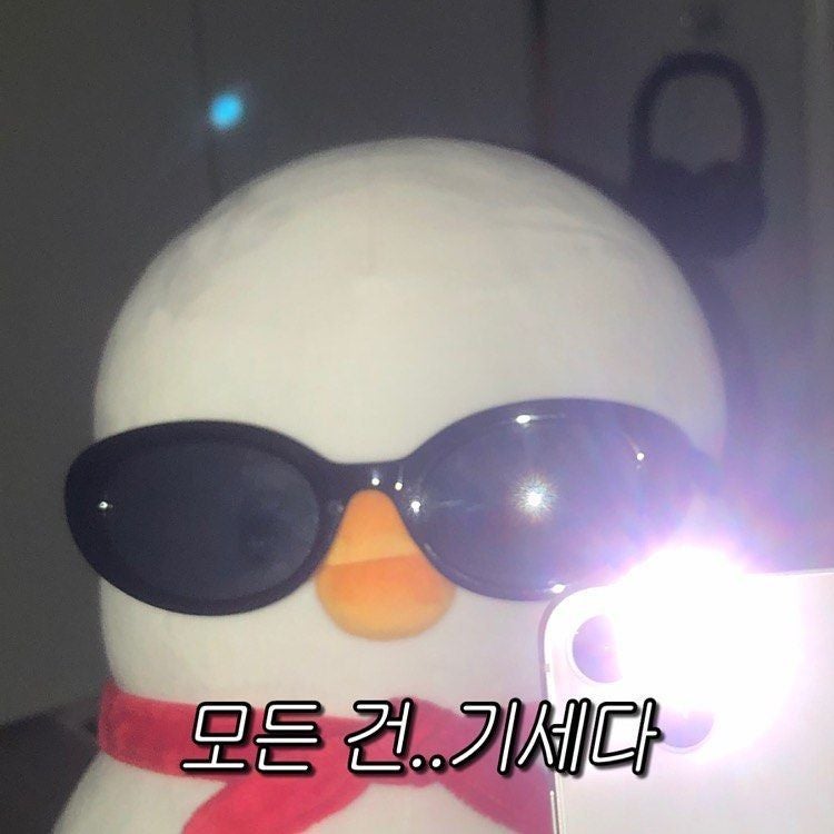 [운전면허] 서울광명자동차 운전학원 도로주행 및 합격 후기 (마지막)