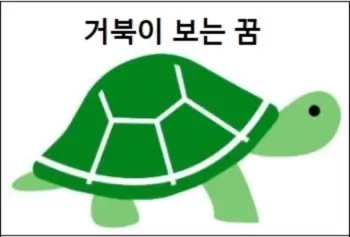 거북이 보는 꿈 타는꿈 거북이한테 물리는 꿈 거북이 잡는꿈 죽이는 꿈 해몽