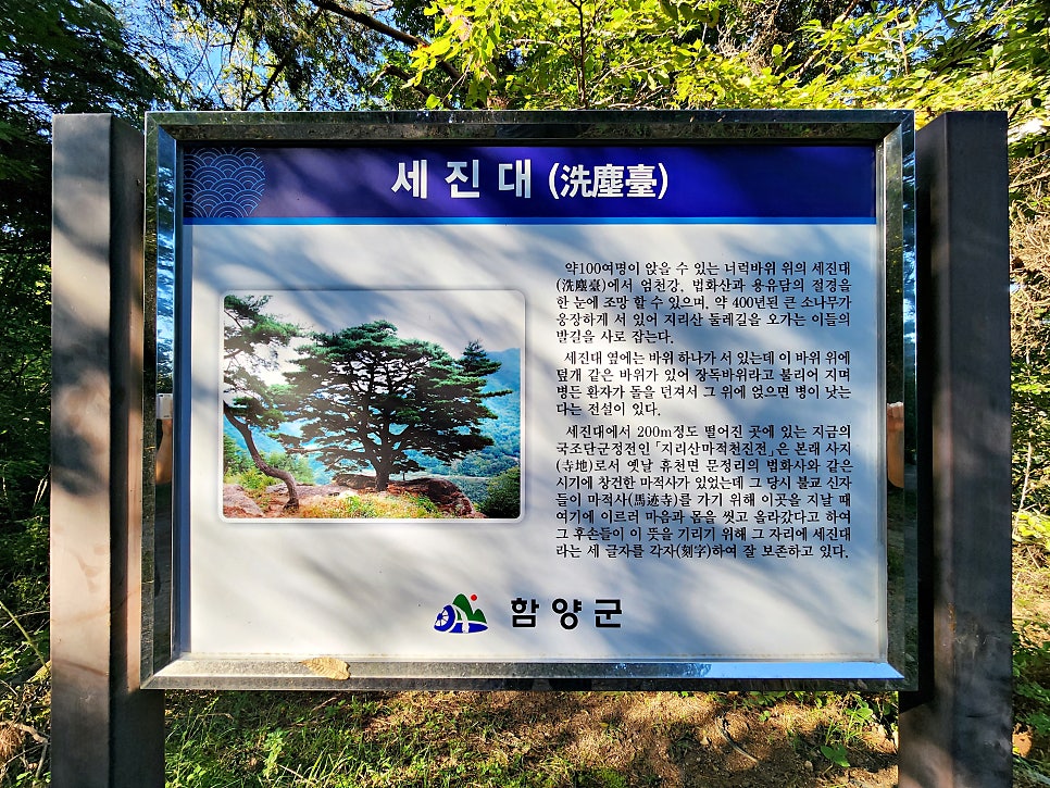세진대 사진 4