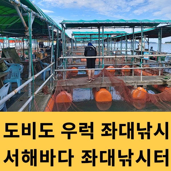  도비도 우럭 좌대낚시 서해 좌대낚시터 힐링하기 좋은곳