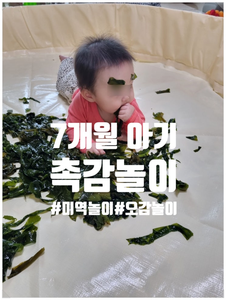  7개월 아기 촉감놀이 추천! 미역놀이로 오감 발달 체험