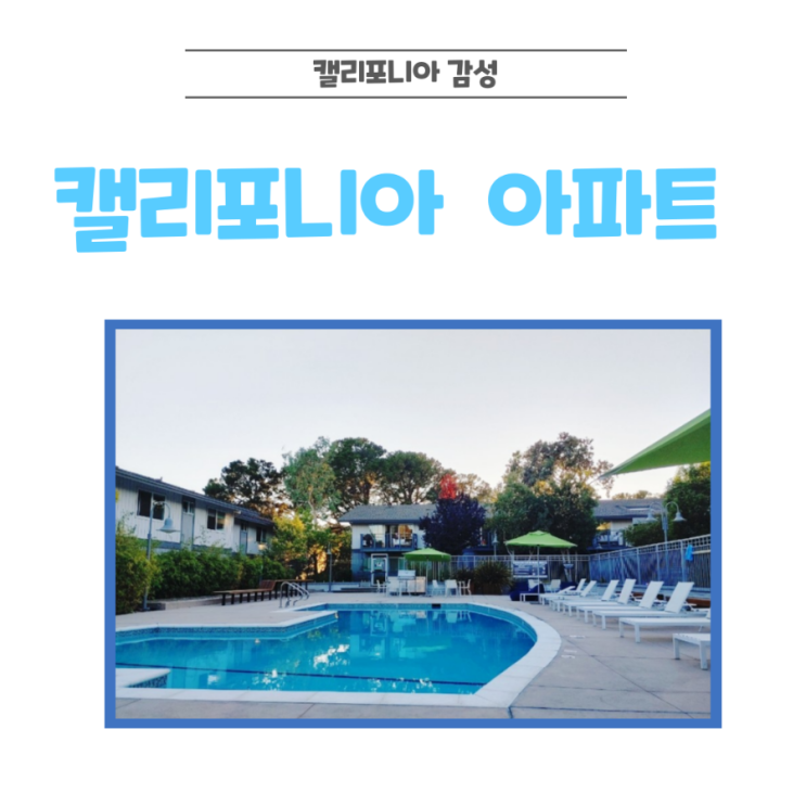  사진첩 속 그리운 캘리포니아의 일상, 샌프란시스코에서의 기억
