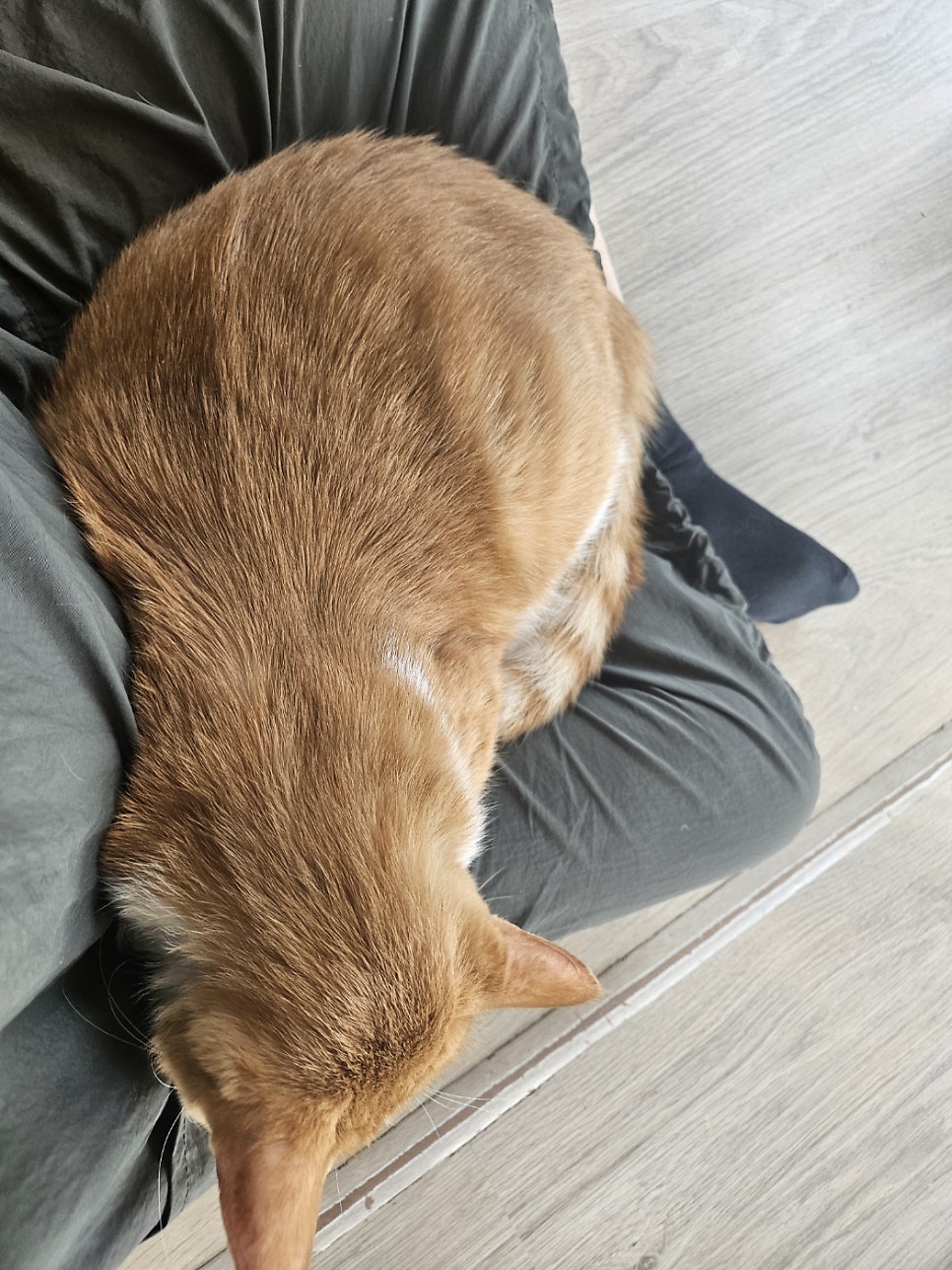 별이랑놀자 사진 6