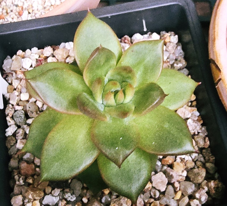  20251018 서시